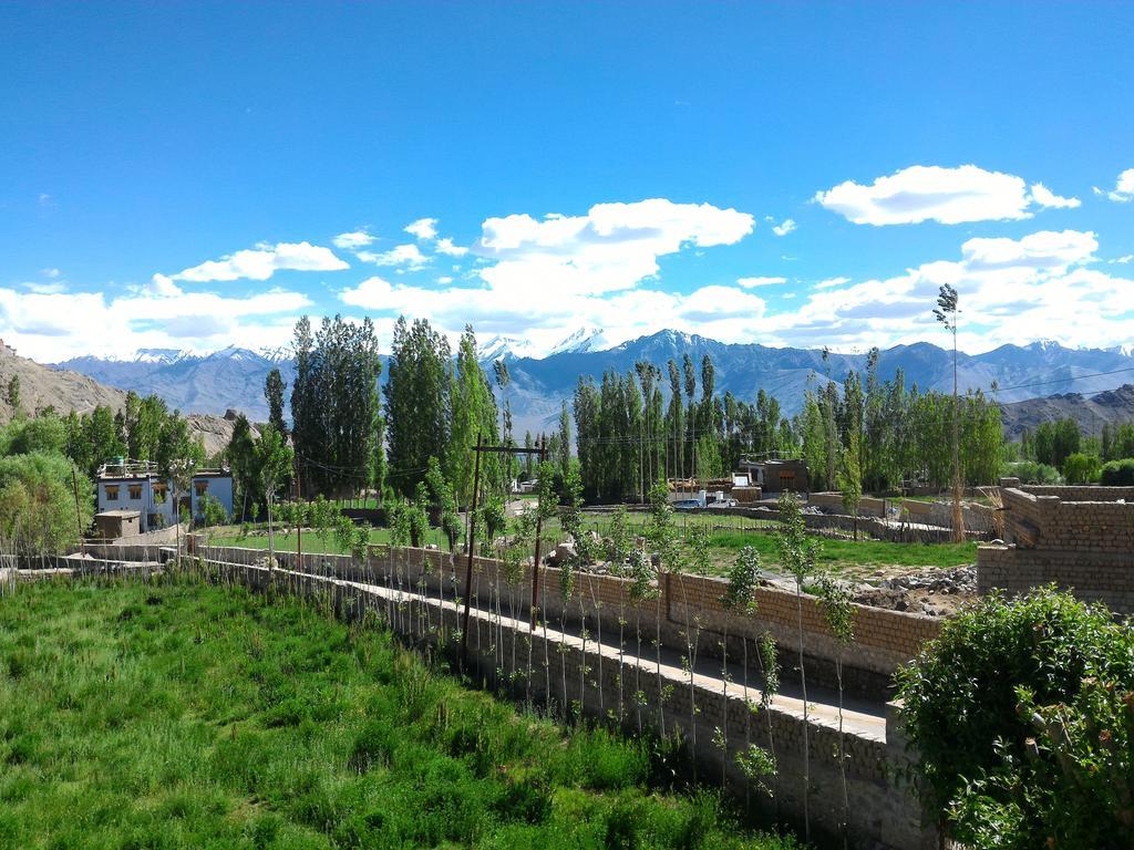 Heschuk Guest House Leh Buitenkant foto